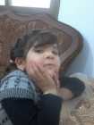 كنده محمد الشيخ علي