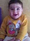شام احمد نوفل
