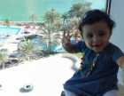 فرح محمد بيرقجي -