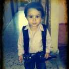 طه محمد