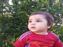 جني يوسف الداعور