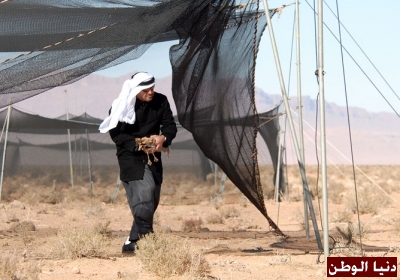 الشيخ محمد بن زايد يشارك  في أكبر عملية إعادة إطلاق الحبارى في التاريخ