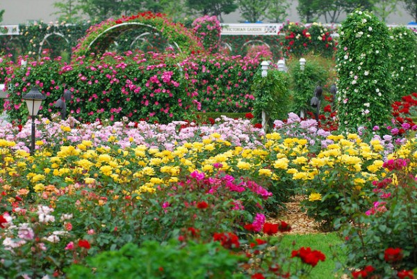 صورة ذات صلة