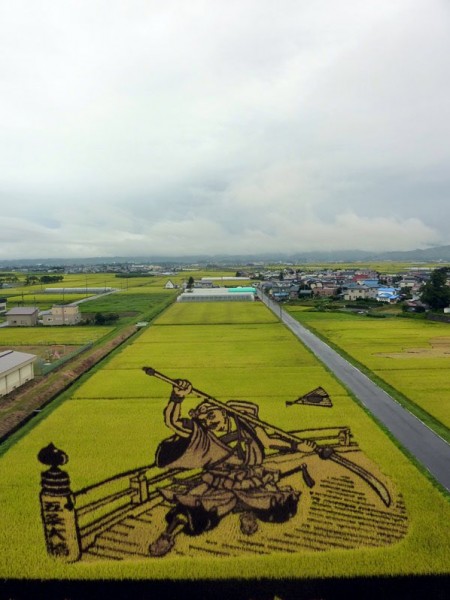 الرسم على الحقول الخضراء في اليابان 3910742539