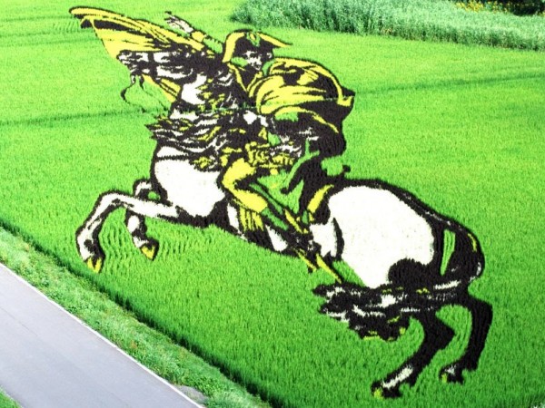 الرسم على الحقول الخضراء في اليابان 3910742540