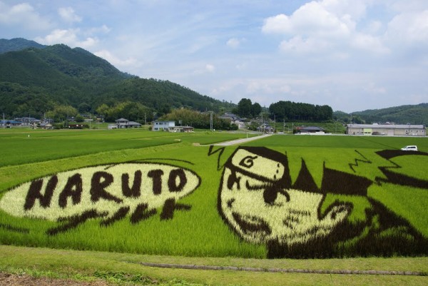 الرسم على الحقول الخضراء في اليابان 3910742541