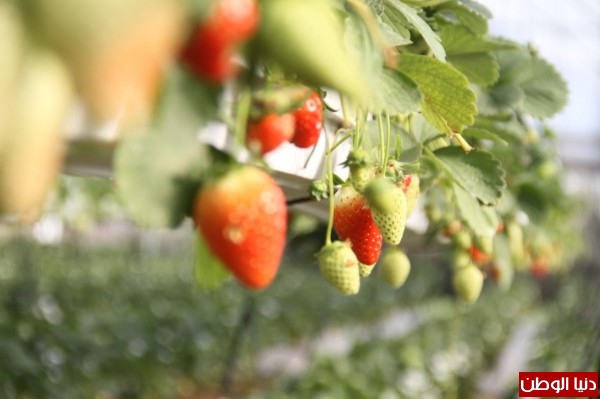 ���� ���� ������ �� ���� ������