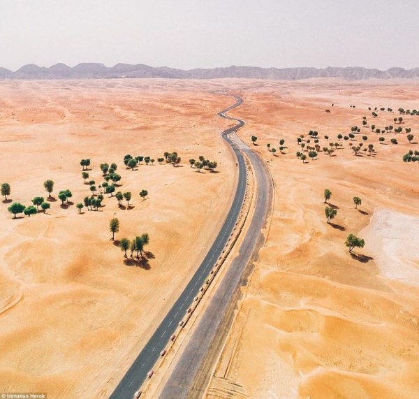 صحراء دبي كما لم ترها من قبل 3910761726