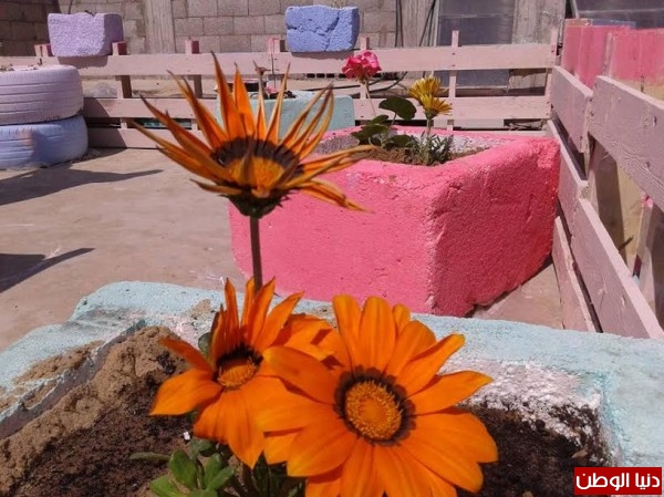 ���� ���� ������ �� ���� ������