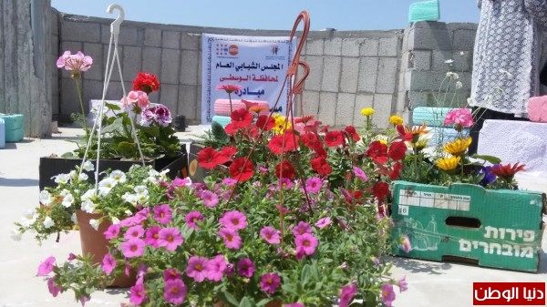 ���� ���� ������ �� ���� ������