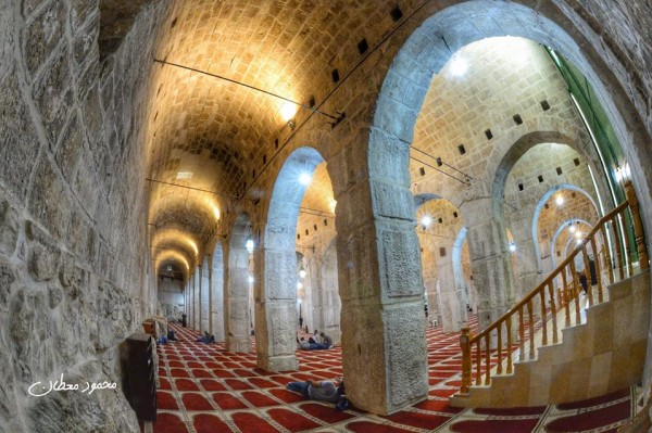 المصلى المرواني في المسجد الاقصى 3910798846