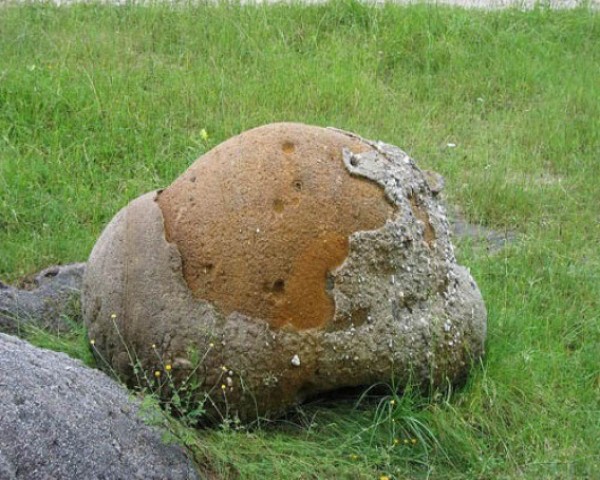 . "الحجارة الحية" تثير حيرة العلماء 3910841475