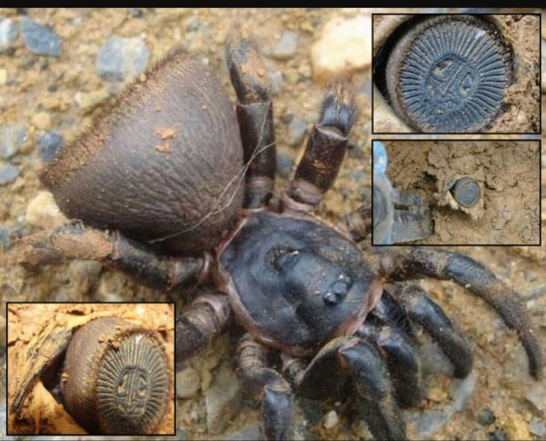 ���� ���� ������ �� ���� ������