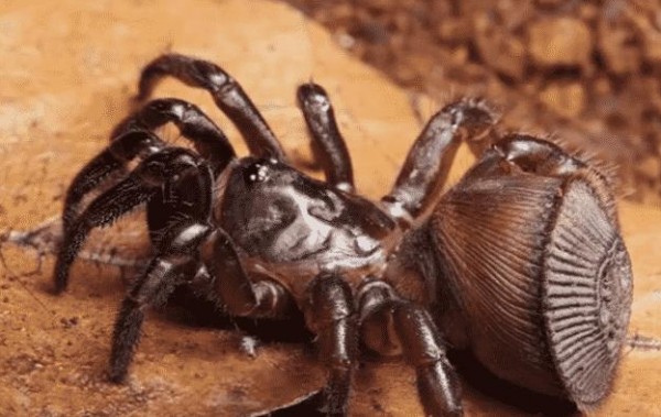 ���� ���� ������ �� ���� ������