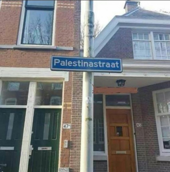 ���� ���� ������ �� ���� ������