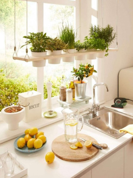  أفكار مدهشة لحدائق أعشاب منزلية في المطبخ 3911051066