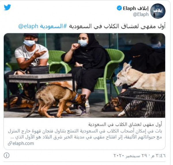 صور: السعودية.. افتتاح أول مقهى لعشاق الكلاب 3911107335