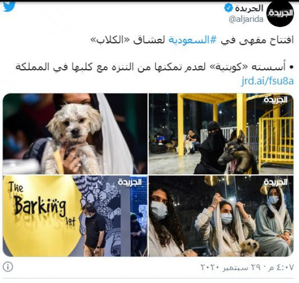 صور: السعودية.. افتتاح أول مقهى لعشاق الكلاب 3911107336