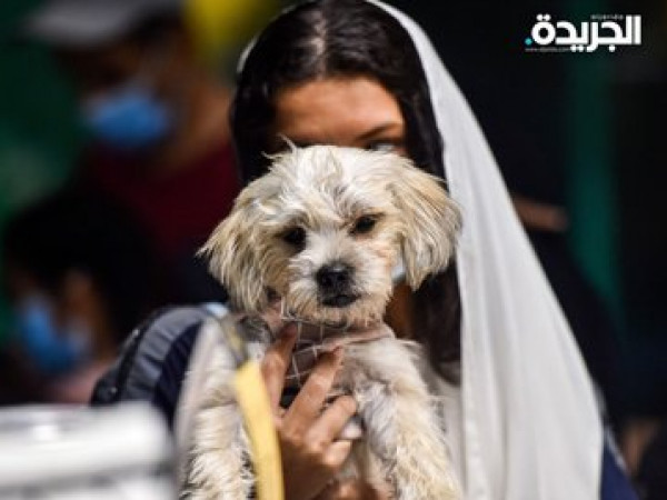 صور: السعودية.. افتتاح أول مقهى لعشاق الكلاب 3911107339