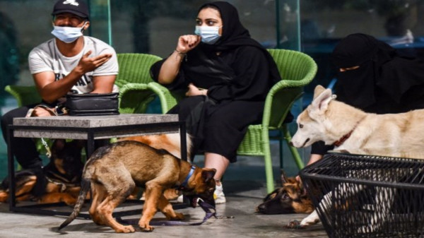صور: السعودية.. افتتاح أول مقهى لعشاق الكلاب 3911107341