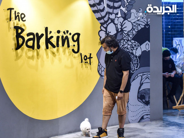 صور: السعودية.. افتتاح أول مقهى لعشاق الكلاب 3911107342