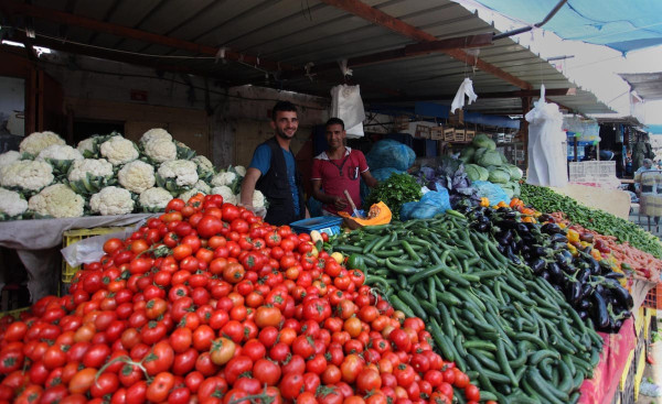 أسعار الخضروات والدواجن في أسواق قطاع غزة