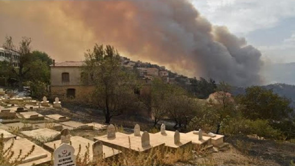 الجزائر تُعلن تمكنها من احتواء حرائق شبت في غاباتها