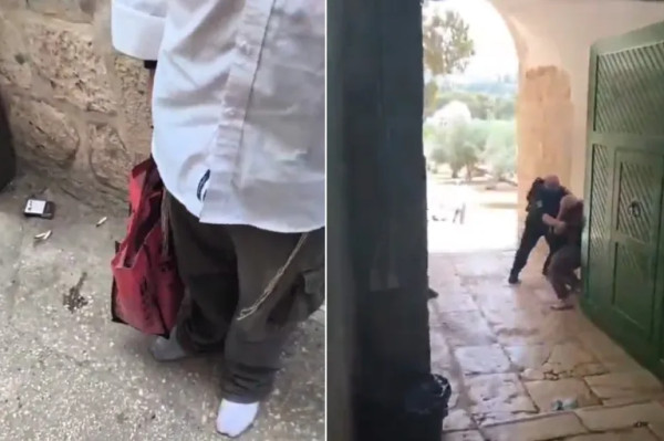 لأول مرة.. مستوطنون يُدخلون قربانا حيوانيا لباحات المسجد الأقصى