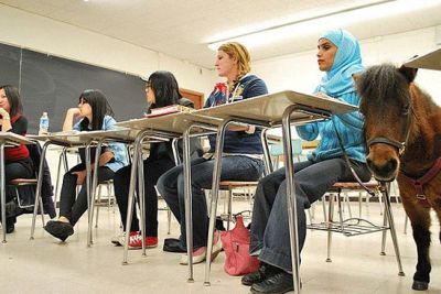 طالبة كفيفة تصطحب حصانها الصغير للفصل الدراسى بالجامعة