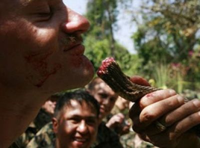 بالصور.. الجنود الأمريكيون يأكلون الأفاعي ويشربون دم الثعبان!