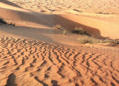 الربع الخالي في السعودية.. بحر الرمال العظيم ومثير الرعب نسجت حوله الأساطير والحكايات