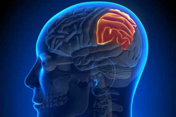 ما هي أعراض وأنواع أورام الدماغ؟