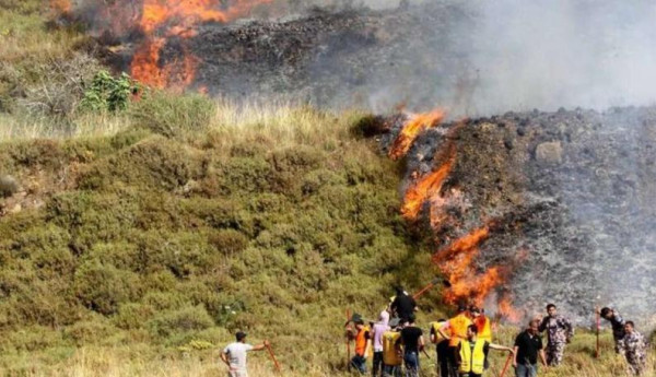 مستوطنون يشعلون النيران في أراضٍ زراعية جنوب نابلس