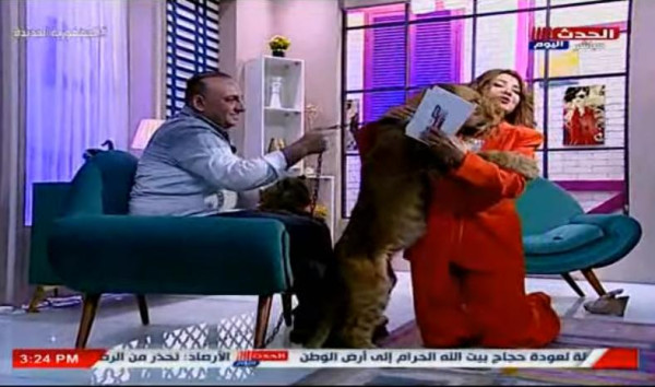 شاهد: مادلين طبر تتعرض لعضة أسد خلال برنامج تلفزيوني