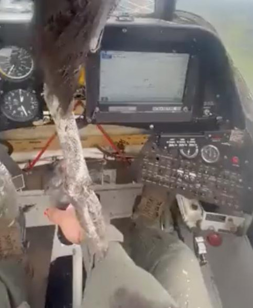 بالفيديو.. طائِر عملاق يهاجم طائرة ويترك قائدها مُلطخ بالدماء