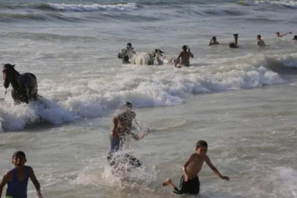 الشرطة بغزة: منع اصطحاب الحيوانات للبحر وإجراءات فورية لمن يخالف القرار