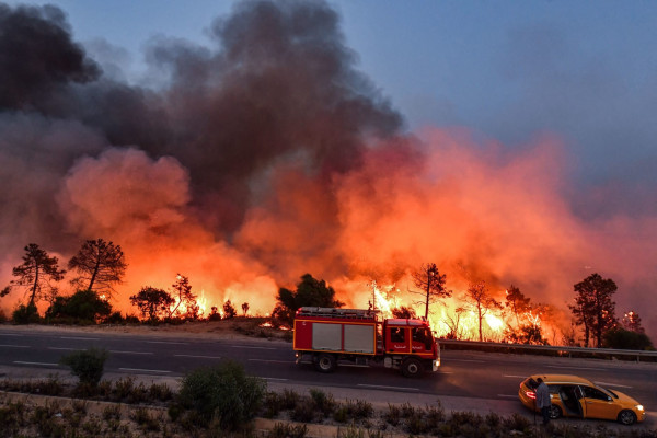 الجزائر: القبض على الشخص المتسبب في الحرائق بغابات ولاية بجاية