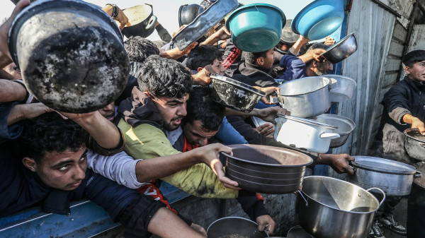 الأمم المتحدة: انهيار شامل لمنظومة الغذاء في غزة