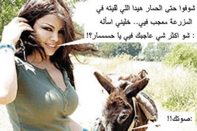 الصورة التي ستغيظ النجمة هيفاء وهبي