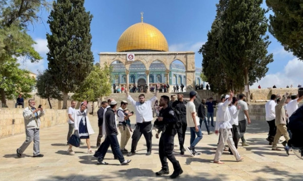 عشرات المستوطنين يقتحمون المسجد الأقصى بحماية من الاحتلال