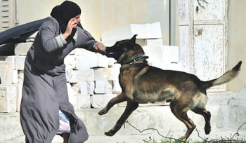 الجيش الاسرائيلي: المواطنة ربايعة اقتربت من الجنود كثيرا فهاجمها الكلب وعضها