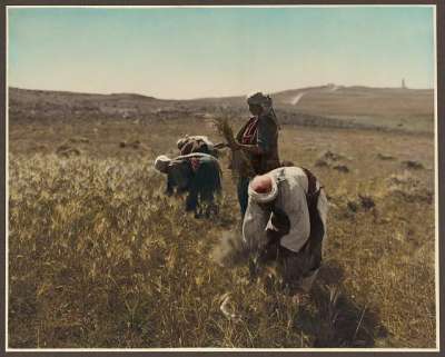 صور ملونة تُنشر لأول مرة .. فلسطين عام 1919 م