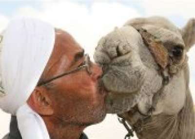 لحظة حنان !