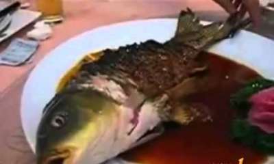 هل جربت أكل السمك "حي" .. فقط في الصين
