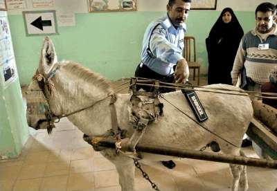 هات تعليق من عندك