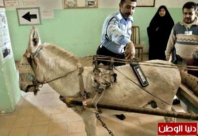 شرطي يقوم بفحص الحمار ,, والسؤال من الحمار ؟؟