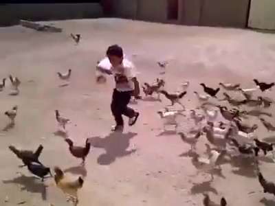 طفل ملاحق من طرف جيش من الدجاج ـ مضحك