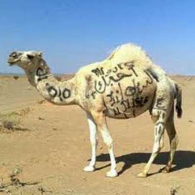 هات تعليق من عندك