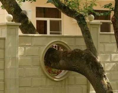 هكذا احترموا الطبيعة..!