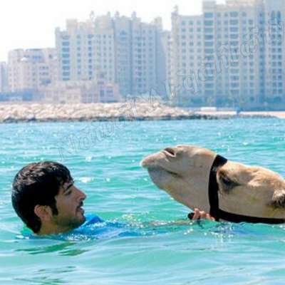 هات تعليق من عندك